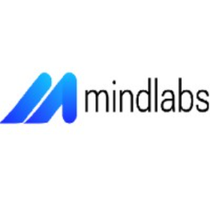 Venture Mind Labs